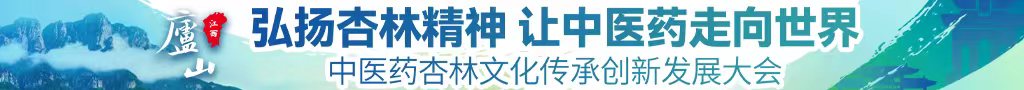 逼被强插了网站中医药杏林文化传承创新发展大会